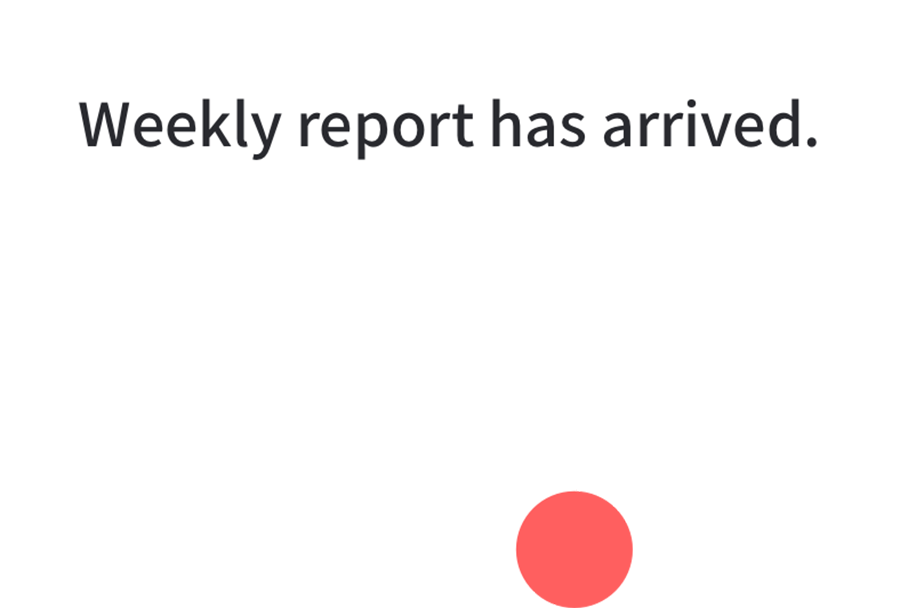 Weekly report